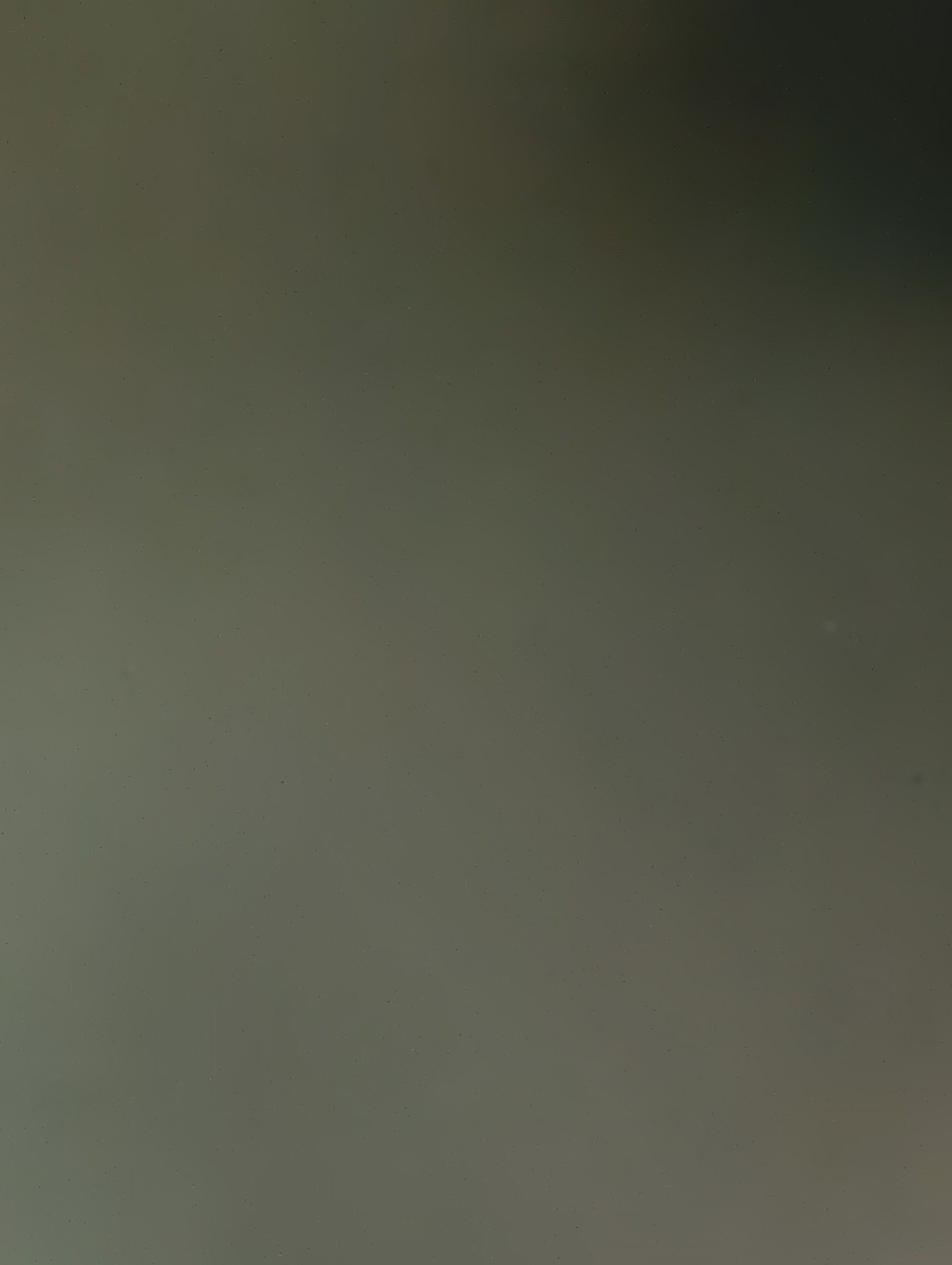 Gray Solid Color Image